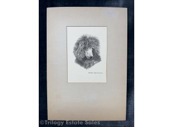 Fridtjov Hermansen Original Drawing Of A Poodle