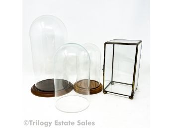 Four Glass Cloches & Display Box