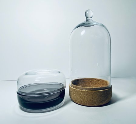 Glass Box And Glass Cloche With Cork Base
