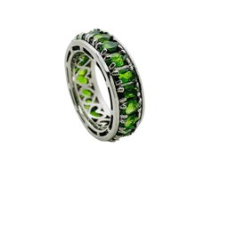 Eternity Chrome Diopside Spinning Worry Ring