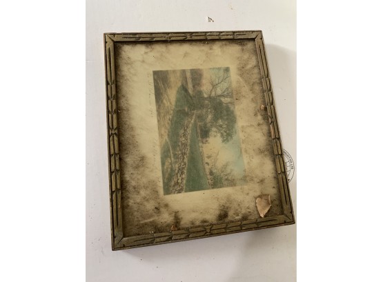 Signed Landscape Picture In Wooden Frame. Barn Find As Found!