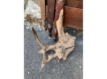 Unique Piece Of Driftwood