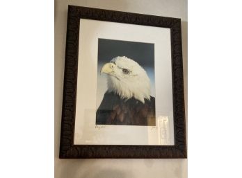 Signed Eagle Photo Beautifully Framed And Matted