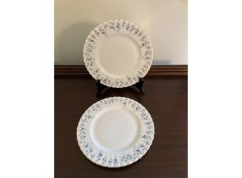 2 Beautiful Blue Floral Plates