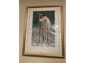 Print Of A Dingo In The Winter