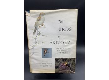 Vintage 1960s Coffee Table Book! The Birds Of Arizona By Allan Philips