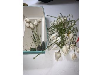 Large Lot Of Unique Seashell Flowers