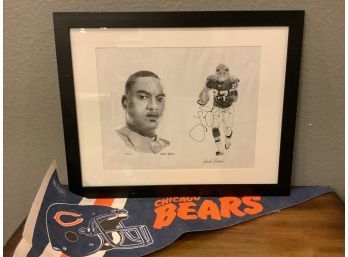 16x20 Frank Nareau NFL Artwork And Chicago Bears Pennant