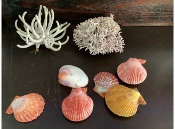 Assorted Ocean Coral And Clams Shells In Basket