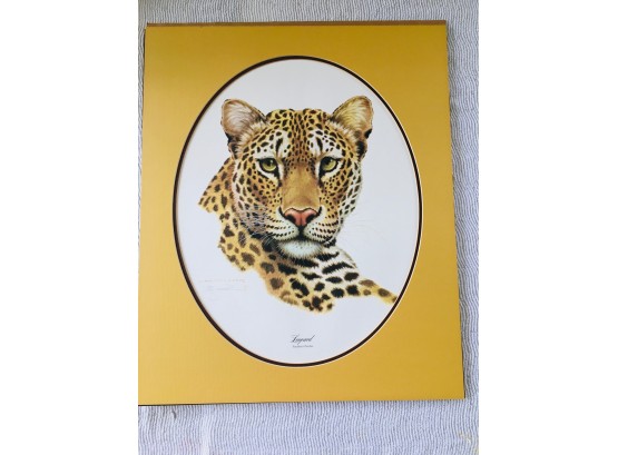 SIGNED Jim Oliver LEOPARD Double Matted