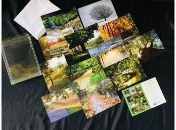 Frederick Law Olmsted - Father Of American Landscape Architecture - 12 Note Cards
