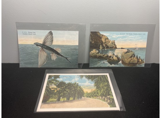 3 Vintage California Postcards