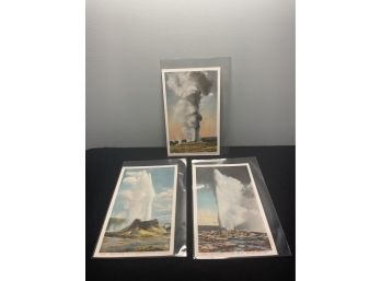 Lot Of 3 Vintage Yellowstone Postcards