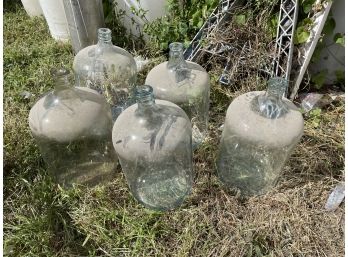 Five Glass Water Jugs