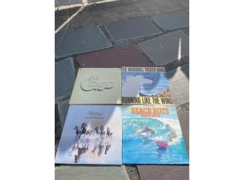 Lot Of 4 Vinyl Records- Beach Boys-seger-Tucker-chicago