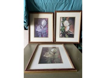 Three Framed Flower Art Prints