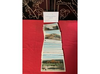 Lot Of Yellowstone Park Views Postcards