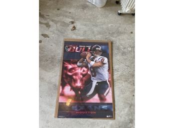 Raging Bull - David Carr - Houston Texans Poster