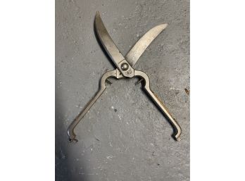 D.Peres Soligen Germany Poultry Shears