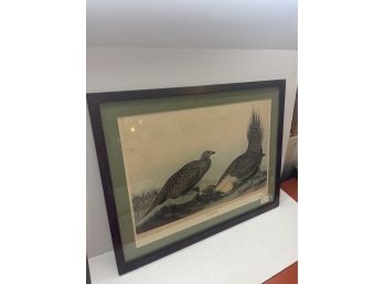 Cock Of The Plains Framed Art