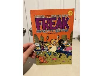 Further Adventures Of Those Fabulous Furry Freak Brothers Comic