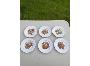 Six Fruit Plates - Hutshenreuther, Germany 1814