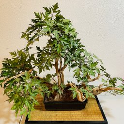Silk Bonsai