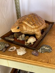 Turtles And Crystals