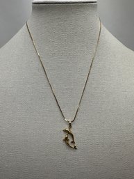 14K Gold Dolphin Pendant On 14K Gold Chain