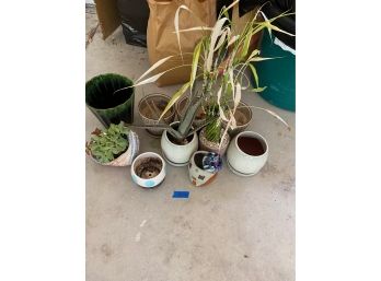 Lot Of Plants And Ceramic Pots