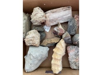 Fossils, Crystals, And Assorted Chunks Of Petrified Wood