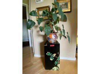Two Piece Plant Vase And Stand With LIVE Plant