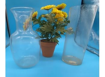 Large Glass Vases And Silk Plant