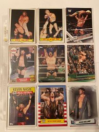 Wrestling Card Lot Of 18