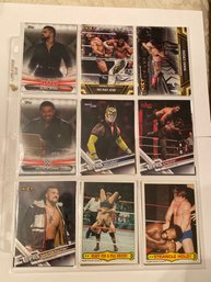 Wrestling Card Lot Of 18