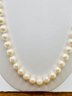 7-8mm White Cultured Japanese Akova Pearl 14k Yellow Gold 18' Strand Necklace And Stud Earring Set
