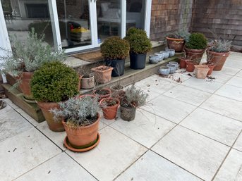 Assorted Collection Of Planters