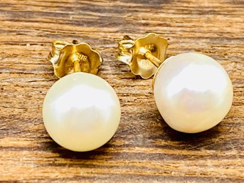 White Cultured Japanese Akoya Pearl 14k Yellow Gold Stud Earrings