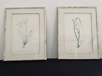 Pair Of Botanical Prints With Silver Wood Frames