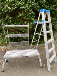 Franklin 40' Working Platform Stepstool And Werner 6' Aluminum Ladder With Metro Shelves