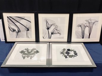 Collection Of Five Framed Prints