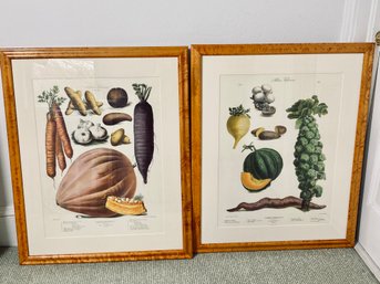 Pair Of Herb Prints, Framed In A Tiger Stripe Wood