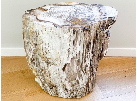 Restoration Hardware Cream Petrified Wood Side Table With Black Accent