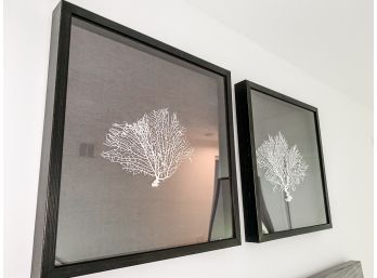 Pair Of Restoration Hardware Preserved Sea Fan With Grey Mats - Square