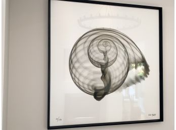 Restoration Hardware Nick Veasey X-ray Photography -Conch Shell - Black Wood Frame - 23/150