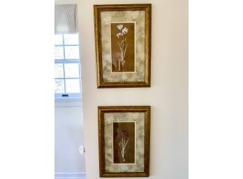 Pair Of Prints In Gold Frames - Gloria Eriksen