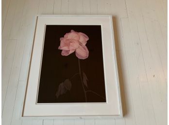 Pink Rose On Black With White Mat And Frame - Unsigned