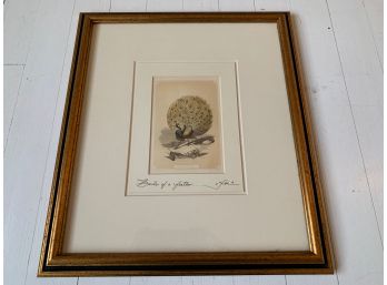 Framed Print Of The Peacock - Signed 'Birds Of A Feather'