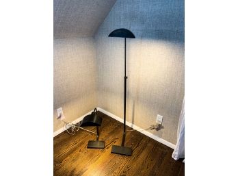 Crate And Barrel Theorem Desk Lamp And Matching Floor Lamp