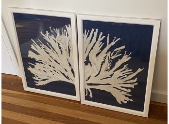 Pair Of Blue Coral Diptych By Miranda Baker